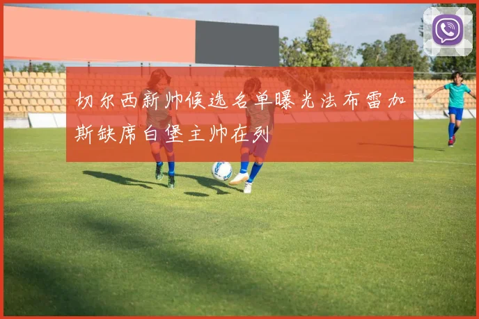 切尔西新帅候选名单曝光法布雷加斯缺席白堡主帅在列