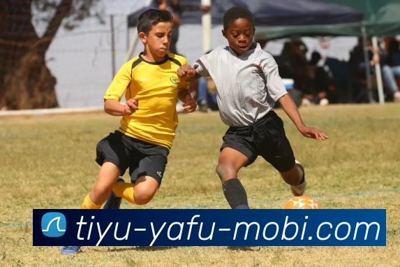 亚博体育发展历程