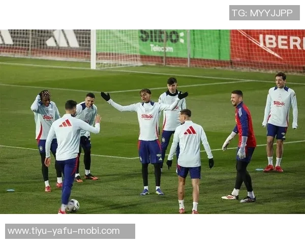 哈曼称阿德耶米将成德国队关键球员目前不被视为世界杯热门